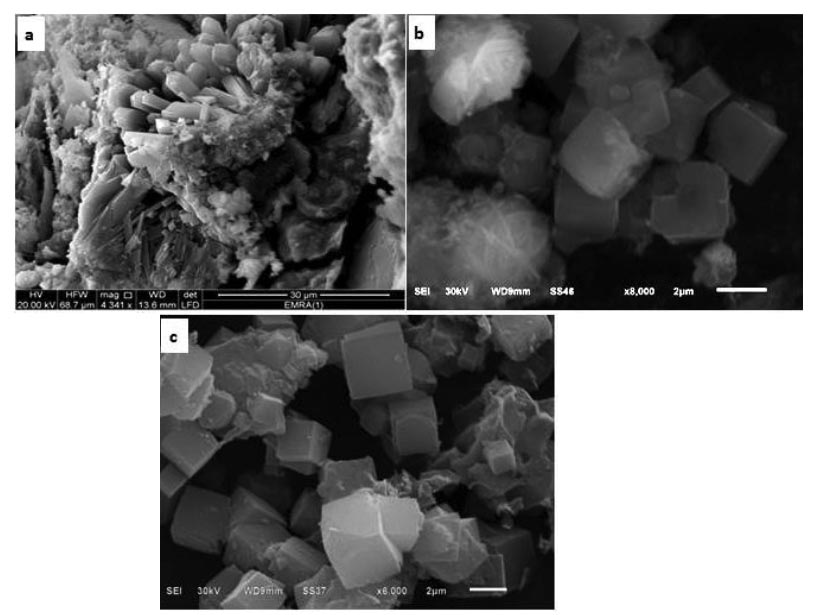 Scanning electron micrographs of natural and synthetic zeolites A. ZN (a), ZH (b) and ZF (c). ZN is characterized by the presence of prismatic crystals of phillipsite-K (3a). (ZH) shows particles with irregular morphology associated with well-developed crystals (3b). (ZF) shows well developed cubic crystals with sharp edges and smooth surfaces (3c)