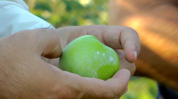 Ζεολιθικές μηλιές - επίσκεψη Νίκου Λυγερού στη φάρμα του Λ. Σιδηρόπουλου στο Ακρολίμνι Πέλλας