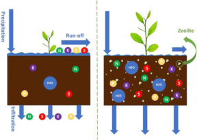 Application of Zeolites for Sustainable Agriculture: a Review on Water and Nutrient Retention
