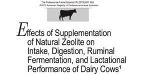Effects of Supplementation of Natural Zeolite on Intake, Digestion, Ruminal Fermentation, and Lactational Performance of Dairy Cows