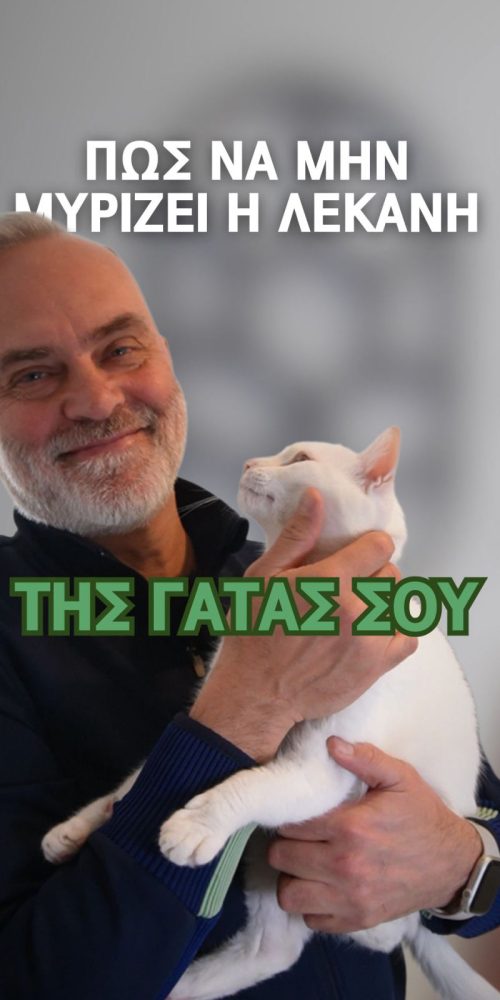Πως να μη μυρίζει η λεκάνη της γάτας σου - Short Video