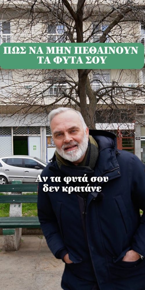 Αν κάνεις τα πάντα σωστά και πάλι δεν βλέπεις αποτέλεσμα… κάτι βασικό σου λείπει 🌱 - Short Video