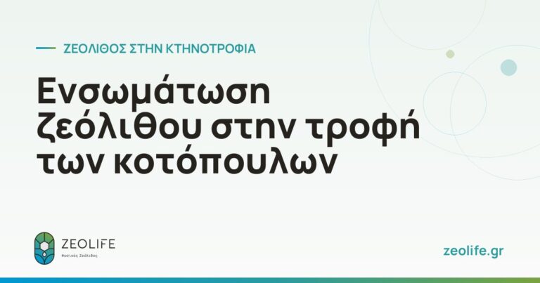 Ενσωμάτωση ζεόλιθου στην τροφή των κοτόπουλων