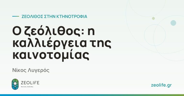 Ο ζεόλιθος: η καλλιέργεια της καινοτομίας – Νίκος Λυγερός