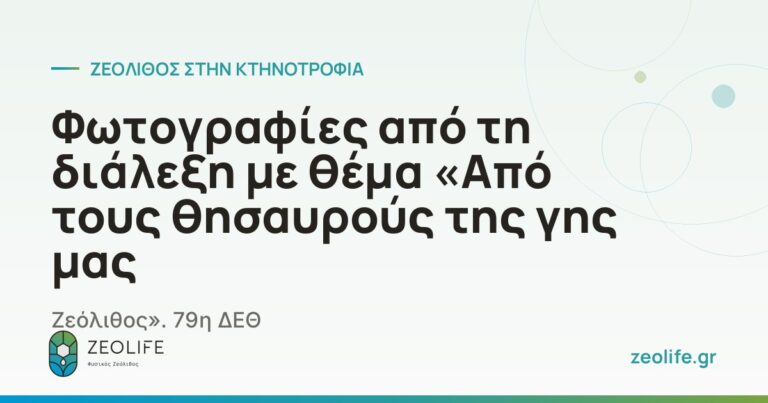 Φωτογραφίες από τη διάλεξη με θέμα «Από τους θησαυρούς της γης μας – Ζεόλιθος». 79η ΔΕΘ