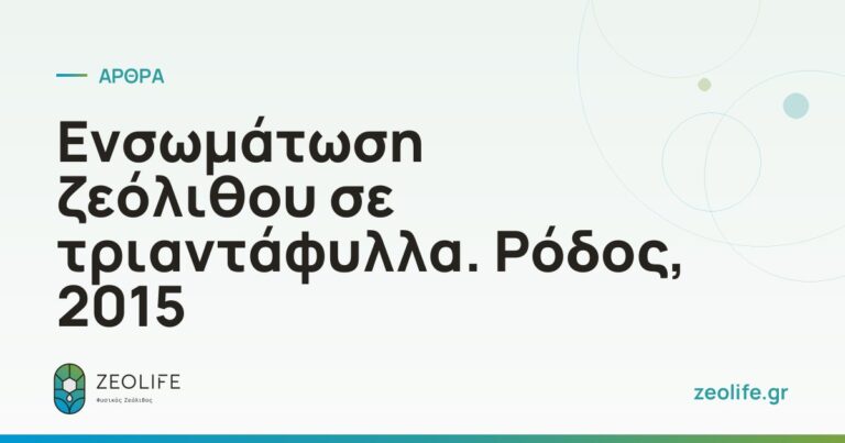 Ενσωμάτωση ζεόλιθου σε τριαντάφυλλα. Ρόδος, 2015