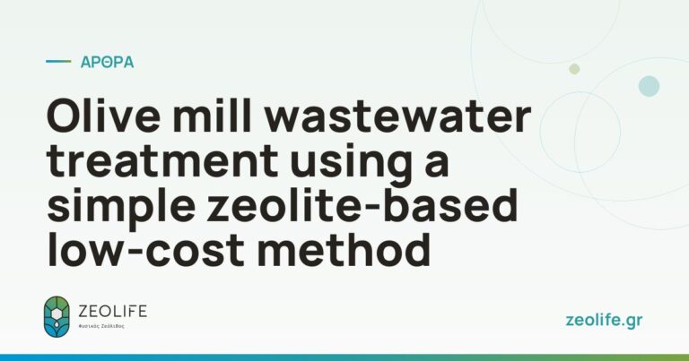 Olive mill wastewater treatment using a simple zeolite-based low-cost method